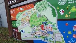 宿泊施設もあり1日中遊べる道の駅