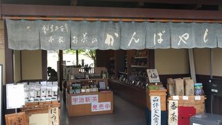 本場の宇治茶