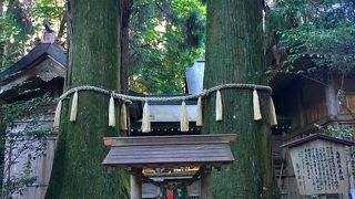 3周回ると幸せに？！