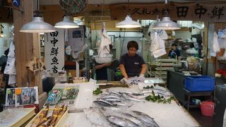 さすが土佐の一本釣りの本場と言った雰囲気