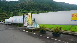 こうして間近で見ると、羽根ってでかいです