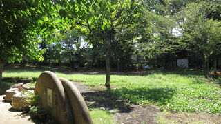 緑豊かな広場です