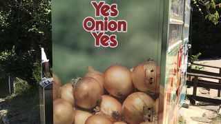 あわじ島バーガーが人気だそうです