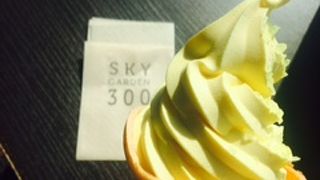 登るとみな同じ。。