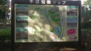 緑が豊かでのんびり過ごせます