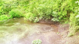 感動的な透明度