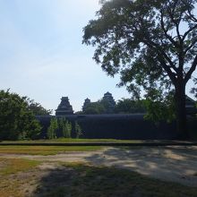 天守閣や宇土櫓遠望。