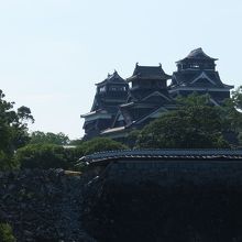 天守閣と宇土櫓。遠望。