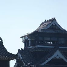 草が哀しいです。