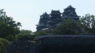 震災で周囲から眺めるだけ