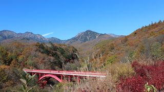 八ヶ岳をバックにナラ、カエデ、カラマツ、ナナカマド、シラカバなどの紅葉が実に見事です。