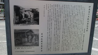 野菊の墓の小説家です。