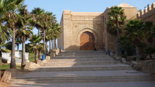 旧市街にはネコがたくさん