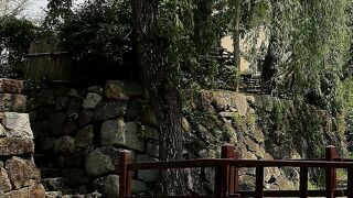 桃山時代に戻れる、八幡堀の周りの散策