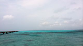 海の美しさに驚いた