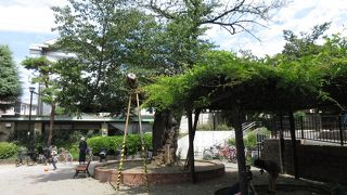 幼児向けの公園です