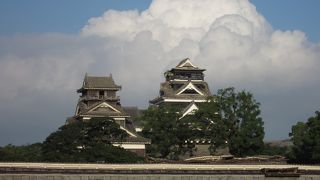 かわいそうな姿