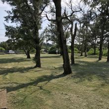 木の茂った芝生の庭もあります。