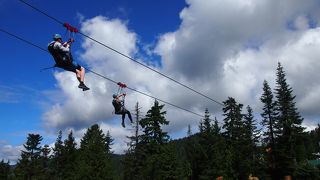 The Top Of Vancoucer