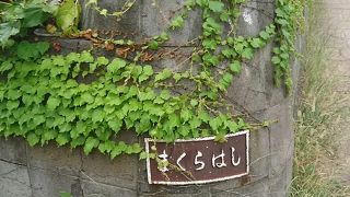 親柱の意匠が独特