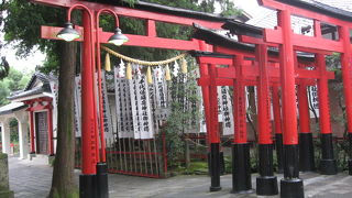 おちょぼさ素敵です