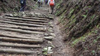 愛宕山に登りました