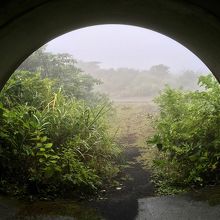 山頂遊歩道 避難ドームがいくつもある