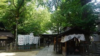 都会の潤いになっているように思います