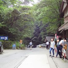 左側が白糸の滝へと行く道