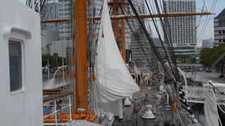 ガイドさんの説明が丁寧で面白い