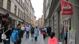 見所が多いです