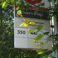 350と441のバスが止まります