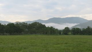 ちょっと地味め