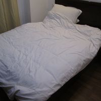 レイクサイド ホリデー イン ホテル