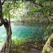 鳥海山の丸池様へ