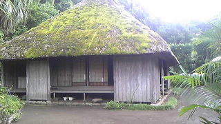 展開がほしいが