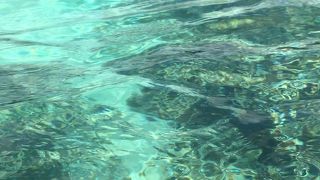 グアムのシュノーケルは毎回ココです