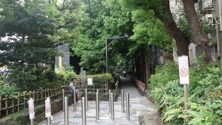 大都会のオアシス