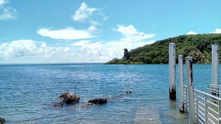 ほんとにくまさんでした！