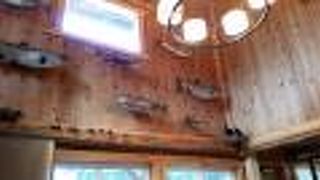 デナリ キャビンズ