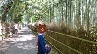 野宮神社への通り道