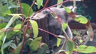 サクッと体験したい人にGOOD