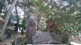 世界遺産の神社