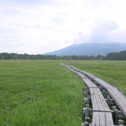 「これぞ尾瀬！」の景観を楽しむ