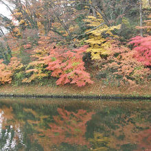 鶴ヶ城のお堀と紅葉