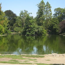 池のある風景です。