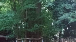 催しが多い武蔵府中の神社