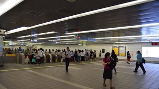 かなり大きいです