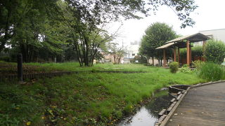 「九品仏浄真寺」からすぐですが・・ぐるりと周りました。。