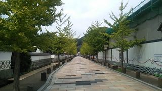 昔ながらの町並みの他、水路を泳ぐ鯉も見所らしいです